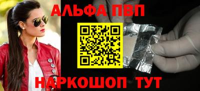 СК Кингисепп