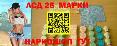 СК Кингисепп
