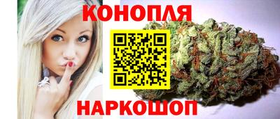 СК Кингисепп