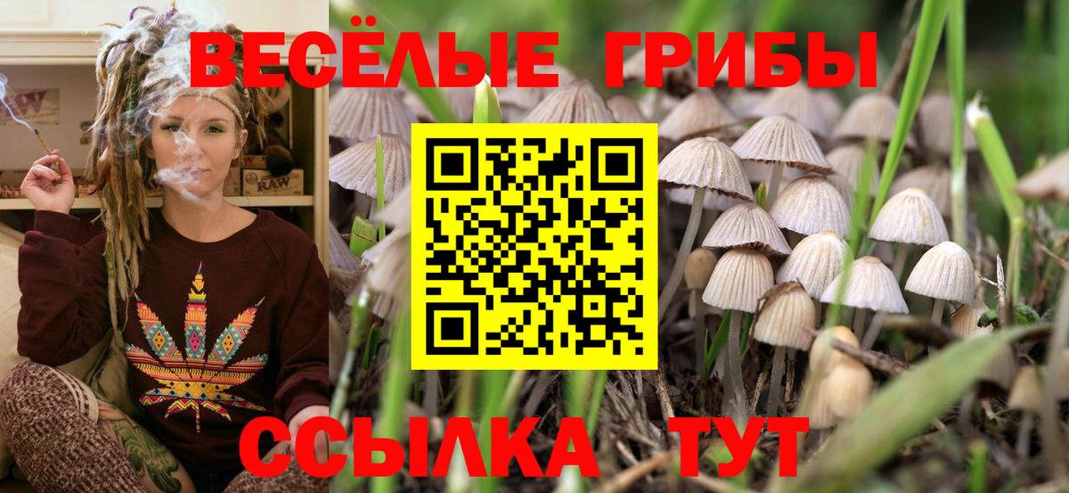 Псилоцибиновые грибы мицелий Крымск