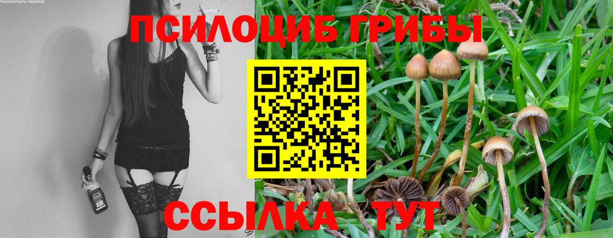 Псилоцибиновые грибы MAGIC MUSHROOMS  Вход с VPN  Крымск 